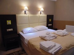 Elisa Inn Hotel - photo 8