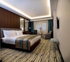 Clarion Golden Horn Hotel: Номер Standard - photo 1