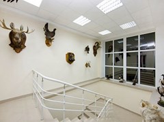 Avrora : Лестничные пролеты - photo 12