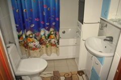 Dolina Altaya: Люкс 2-местный 2-комнатный  - photo 29