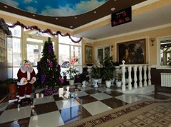 Dolina Altaya: Холл - photo 9