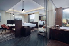 Hilton Belgrade: Room SUITE STANDARD - photo 26
