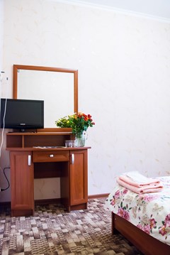 Al`pina Otel`: Стандартный 2 местный 1 комнатный - photo 30