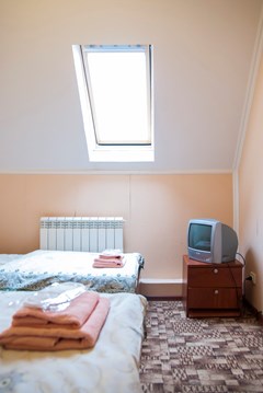 Al`pina Otel`: Эконом 2-местный номер на 5 этаже (мансарда) - photo 43