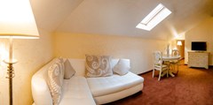 Solnechny`j Park Hotel&SPA 4* Otel`: Люкс 2-местный 5-комнатный Люкс 2-местный 5-комнатный - photo 162