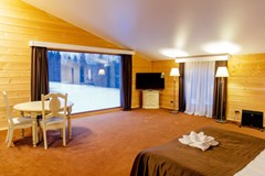 Solnechny`j Park Hotel&SPA 4* Otel`: Коттедж 4-местный 2-этажный - photo 115