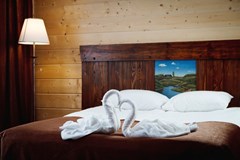 Solnechny`j Park Hotel&SPA 4* Otel`: Стандартный 2-местный Mini Стандартный 2-местный (мини) - photo 170