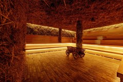 Solnechny`j Park Hotel&SPA 4* Otel`: Сенная сауна - photo 111
