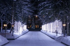 Solnechny`j Park Hotel&SPA 4* Otel`: Территория - photo 15