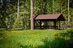 COUNTRY RESORT Otel`: Территория - photo 11