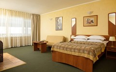 COUNTRY RESORT Otel`: Люкс 2-местный (с камином) - photo 63