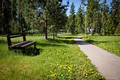 COUNTRY RESORT Otel`: Территория - photo 13