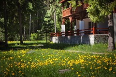 COUNTRY RESORT Otel`: Территория - photo 8