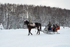 Olimp Dom otdy`xa: Катание в санях - photo 47