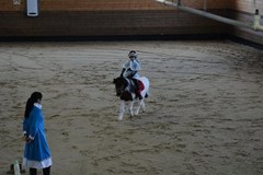 Berxino Gostinicza: Конные прогулки - photo 28