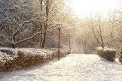 Desna, UDP RF Ozdorovitel`ny`j kompleks: Территория - photo 9