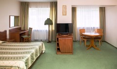 Foresta Festival` Park Otel`: Люкс Студио 2-местный - photo 27