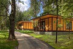 Foresta Festival` Park Otel`: Территория - photo 10