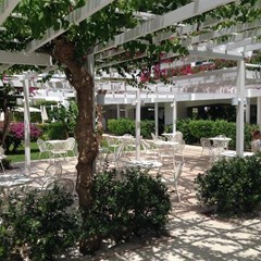 Nissi Park - photo 5