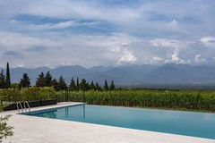 Vazisubani Estate - photo 9
