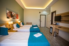 Marti Beach Hotel: Room - photo 40
