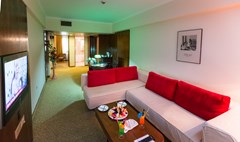 Derici Hotel: Room SUITE STANDARD - photo 67