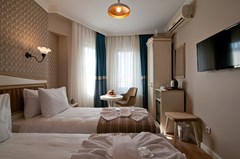 Mevlana Boutique Hotel: Room - photo 59