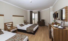 Hane Garden Hotel - photo 21