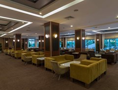 Hane Garden Hotel - photo 11