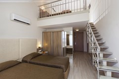 Hane Garden Hotel - photo 20