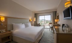 Radisson Blu Resort & SPA Cesme: Room - photo 41