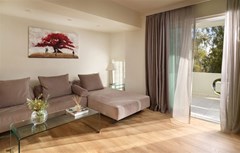 Blazer Suites Hotel - photo 16