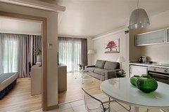 Blazer Suites Hotel - photo 8