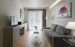 Blazer Suites Hotel - photo 11