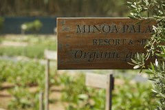 Minoa Palace Resort Hotel - photo 34