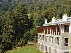 Grand Forest Metsovo Hotel - photo 7
